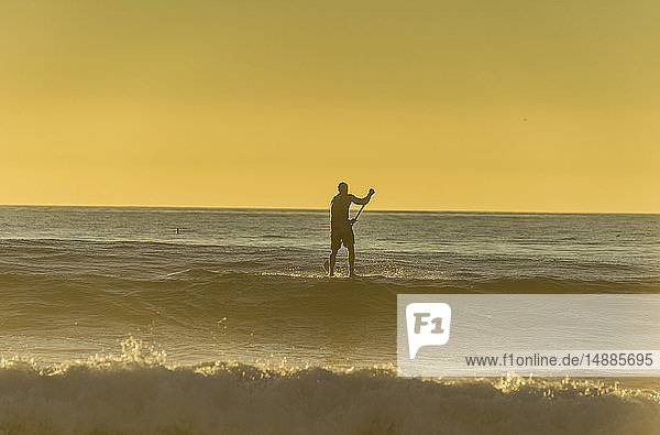 USA  Kalifornien  Del Mar  Stand up Paddle Surfing am Abend