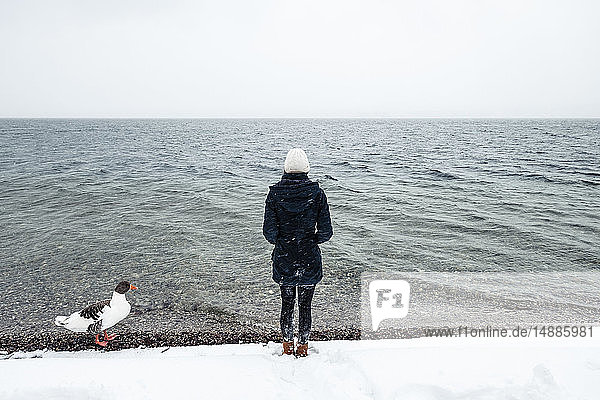Graugans und junge Frau im Winter am Starnberger See