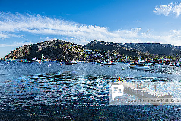 USA  Kalifornien  Kanalinseln  Insel Santa Catalina  Avalon  schwimmende Plattform