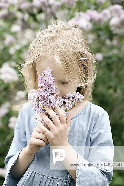 Portrait of smiling girl with lilac blossoms  sniffing