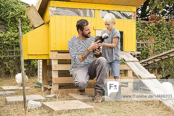 Vater und Sohn mit polnischen Hühnern im Hühnerstall im Garten