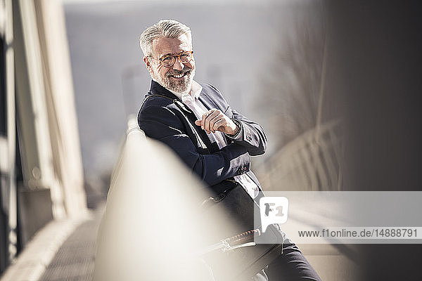 Porträt eines lächelnden selbstbewussten reifen Geschäftsmannes auf einer Brücke