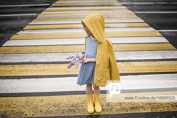 Girl wearing yellow rainjacket  standing on zebra crossing  holding lilac