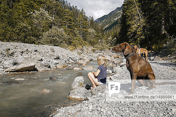 Österreich  Tirol  Mädchen mit zwei Hunden an einem Gebirgsbach