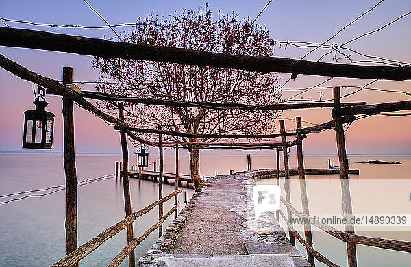 Italien  Punta san Vigilio  Gardasee  Anlegesteg und Baum im Winter bei Sonnenuntergang