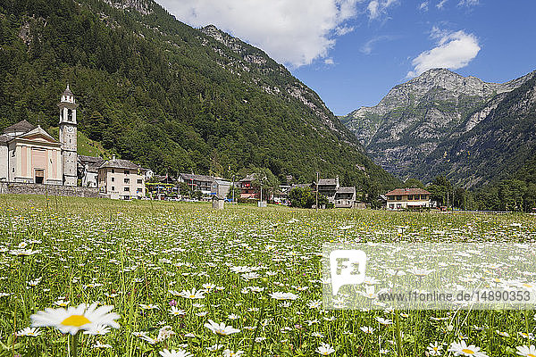 Schweiz  Tessin  Dorf Sonogno  Alpweide