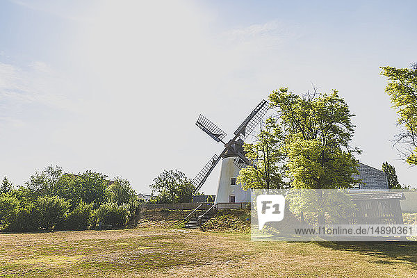 Austria  Burgenland  Podersdorf am See  windmill