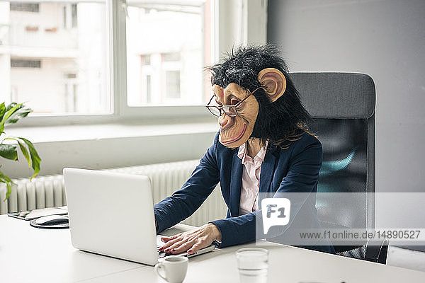 Geschäftsfrau mit Schimpansenmaske  die im Büro arbeitet  mit Laptop