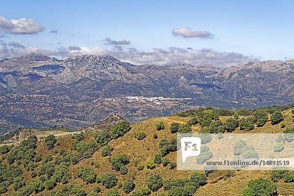 Mirador del Guadiaro  Provinz Malaga  Spanien  Europa