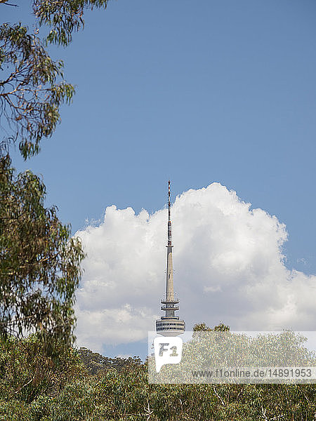 Telstra-Turm hinter Bäumen in Canberra  Australien