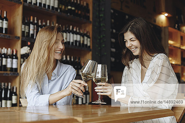 Junge Frauen stoßen mit einem Glas Weißwein an