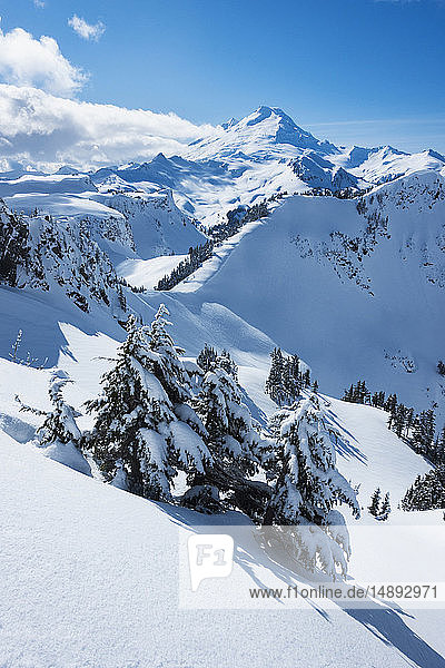 Mount Baker Ski Area in Washington State  USA
