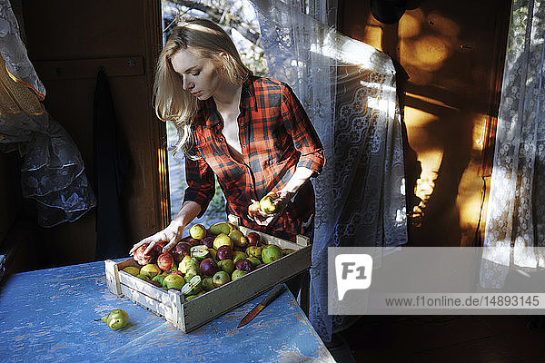 Frau sortiert Kiste mit Äpfeln auf einem Tisch
