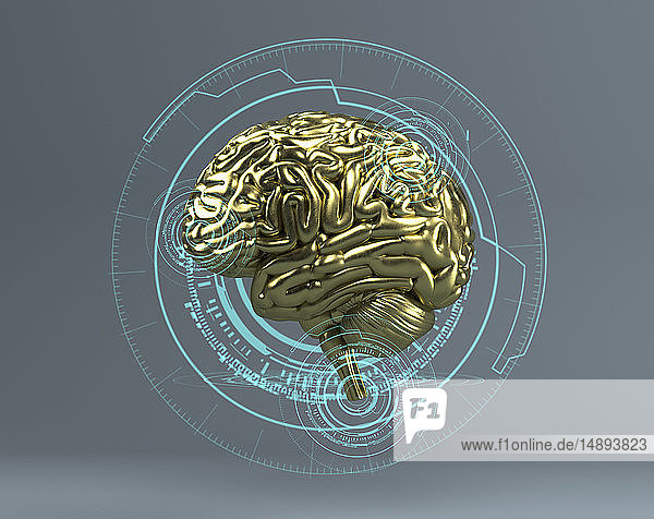 Das goldene Gehirn im Zentrum der digitalen Technologie