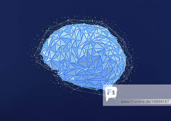 Netzwerk für Low-Poly-Gehirn