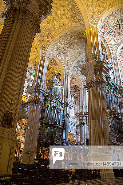 Europe  Spain  Andalucia  Malaga  the cathedral