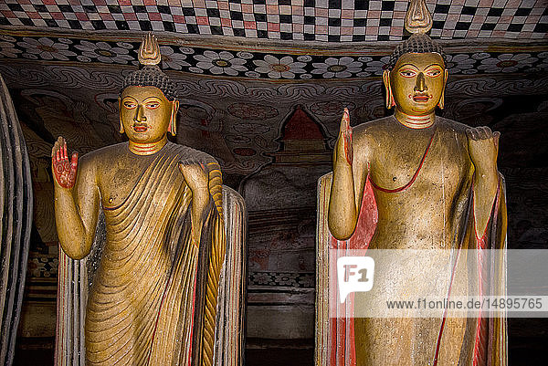 Asien  Sri Lanka  Dambulla-Höhlen  Buddha-Statuen