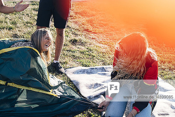 Spielerische Freunde genießen es  während sie bei einer Veranstaltung Zelt und Rasen machen