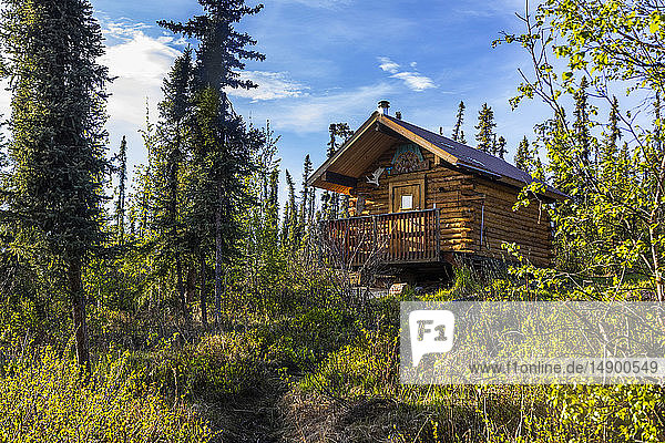 Borealis-LeFevre BLM-Hütte am Beaver Creek  National Wild and Scenic Rivers System  White Mountain National Recreation Area  Interior Alaska; Alaska  Vereinigte Staaten von Amerika