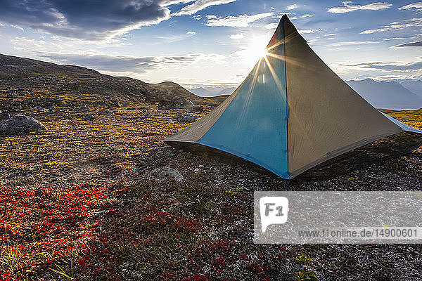 Tent pitched on the tundra early evening with sun coming from behind it along the Kesugi Ridge Trail Denali State Park Alaska in the autumn South-central Alaska; Alaska United States of America