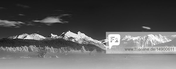 Black and white panorama of a winter morning on the Mendenhall wetlands Southeast Alaska; Alaska United States of America