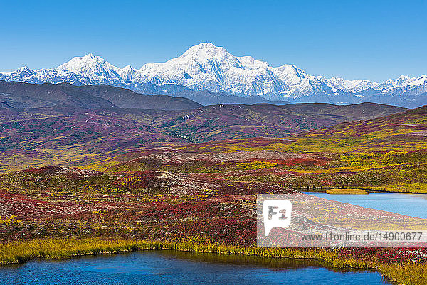 Denali National Park and Preserve as seen from Peters Hills with 20320' Mount Denali formally know as Mount McKinley and the Alaska Range; Trapper Creek Alaska United States of America