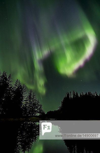 Northern Lights Tongass National Forest near Juneau; Alaska United States of America