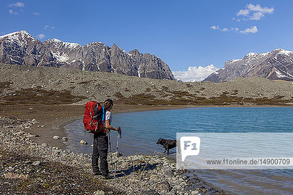 Frau  die mit dem Rucksack unterwegs ist und die Aussicht auf die Wrangell Mountains genießt  während sich ihr Hund in einem der Donoho-Seen abkühlt  Donoho Lakes Loop  Wrangell-St. Elias National Park  Süd-Zentral-Alaska; Alaska  Vereinigte Staaten von Amerika