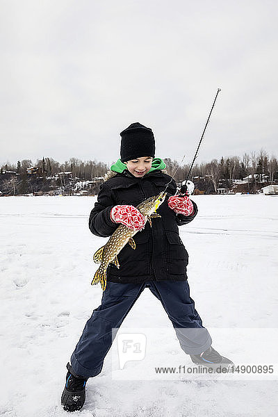 Ein kleiner Junge fängt einen Hecht beim Eisfischen auf dem Wabamum-See während eines Familienausflugs im Winter; Wabamun  Alberta  Kanada