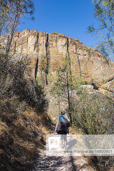 Eine Frau wandert auf dem Balconies Cave Trail unterhalb massiver Klippen im Pinnacles National Park; Kalifornien  Vereinigte Staaten von Amerika