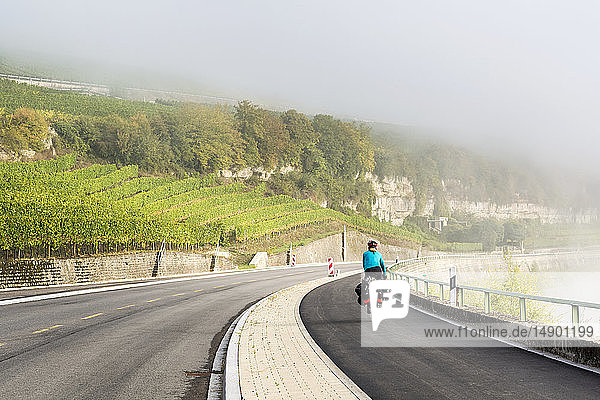 Female cyclist along river pathway with rolling hillside vineyards and mist in the river valley  North of Remich; Luxembourg