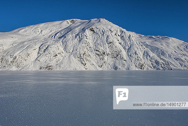 Schöner zugefrorener Portage Lake mitten im Winter in Süd-Zentral-Alaska; Alaska  Vereinigte Staaten von Amerika