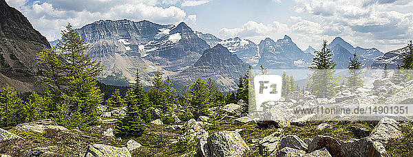 Panorama einer felsigen Bergwiese mit Lärchen und Bergkette im Hintergrund; British Columbia  Kanada