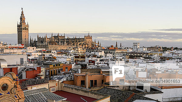 Stadtbild von Sevilla mit der Kathedrale von Sevilla in der Skyline; Sevilla  Provinz Sevilla  Spanien