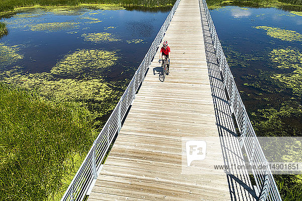 Eine Radfahrerin auf einer Brücke  die einen sumpfigen Teich überquert  östlich von Calgary; Alberta  Kanada