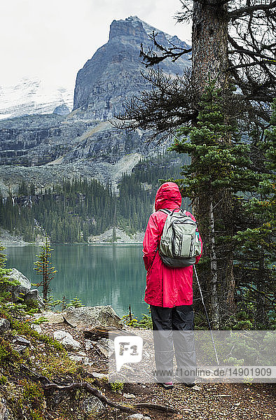 Female hiker at Lake Oesa  Yoho National Park; British Columbia  Canada