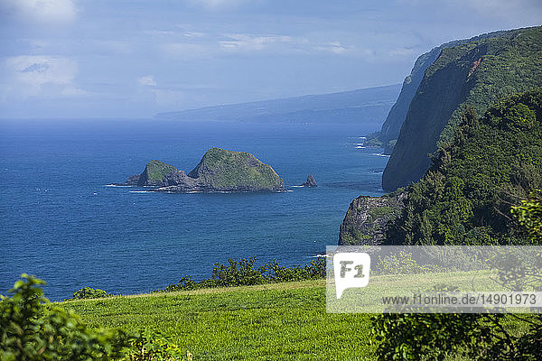 Hamakua-Küste  nahe Pololu-Tal; Insel Hawaii  Hawaii  Vereinigte Staaten von Amerika