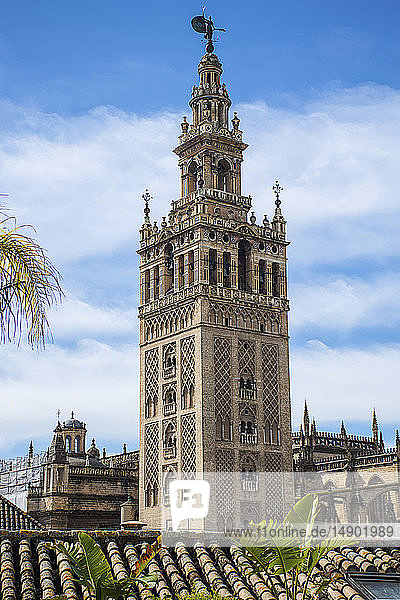 Giralda  Glockenturm der Kathedrale von Sevilla und Dächer; Sevilla  Spanien