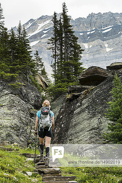 Female hiker assending rock stairs in a mountain meadow with rocky cliffs and mountain in the background; British Columbia  Canada