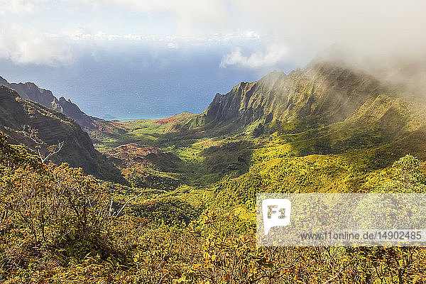 Dramatische Berglandschaft und farbenfrohes Laub auf einer hawaiianischen Insel mit Blick auf den Pazifischen Ozean  von der Spitze der Na-Pali-Küste aus gesehen; Kauai  Hawaii  Vereinigte Staaten von Amerika