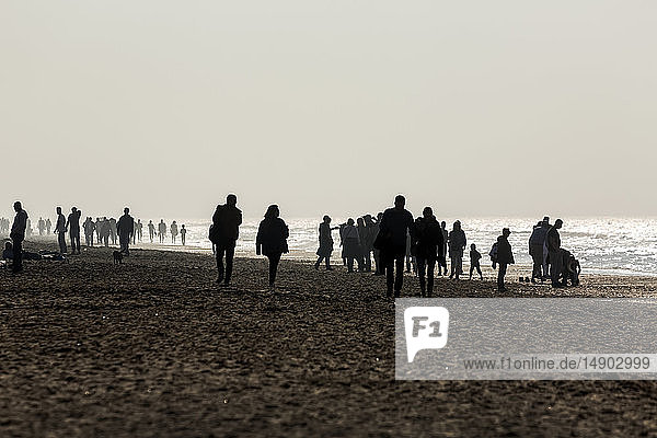 Silhouette of several people walking on sandy beach; Zandvoort  Netherlands