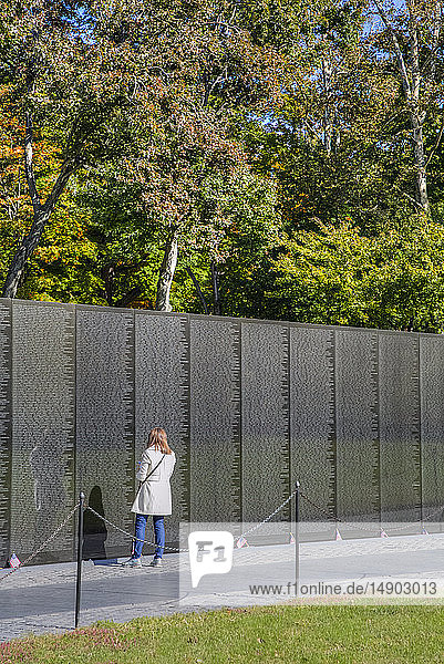 Person at the Wall  Vietnam Veterans Memorial; Washington D.C.  United States of America