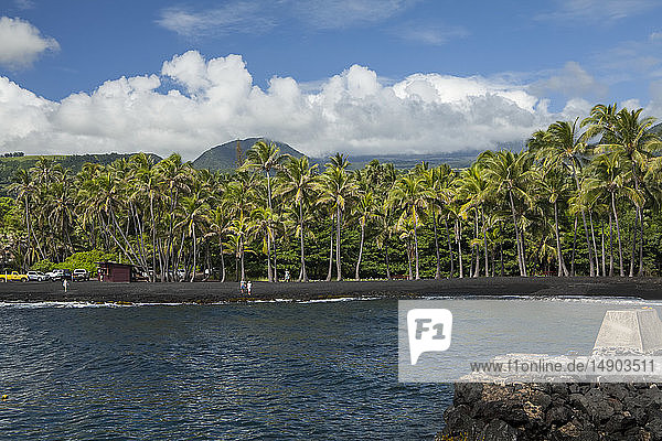 PunaluÊ»u Beach  a black sand beach lined with palm trees along the water's edge  District of Kau; Island of Hawaii  Hawaii  United States of America