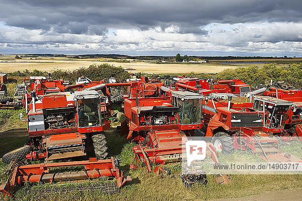 Alte Mähdrescher für gebrauchte Teile in der Nähe von Cudmore; Saskatchewan  Kanada
