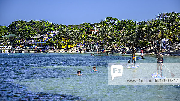 Touristen genießen das Wasser vor der Küste von West End Village; Roatan  Bay Islands Department  Honduras