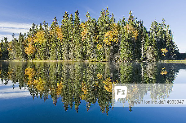 Herbstfarben am Glad Lake  Duck Mountain Provincial Park; Manitoba  Kanada