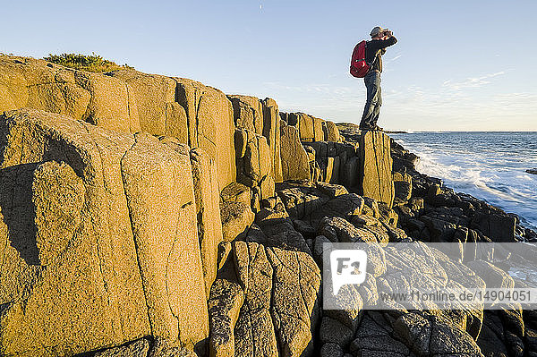 Wanderer auf Basaltklippen  Dartmouth Point  Bay of Fundy; Long Island  Nova Scotia  Kanada