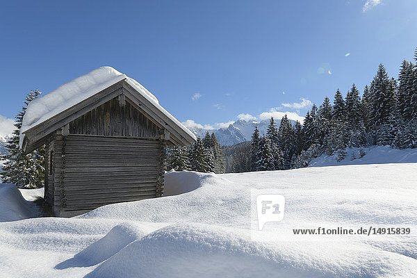 Winterlandschaft mit Holzhütte  Elmau  Garmisch-Partenkirchen  Oberbayern  Bayern  Deutschland  Europäische Alpen.