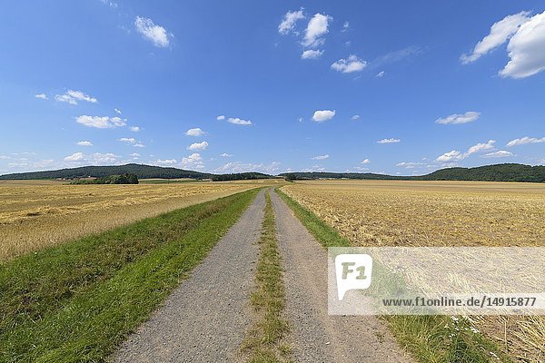 Schotterstraße mit Getreidefeldern im Sommer  Grabfeld  Bayern  Deutschland.
