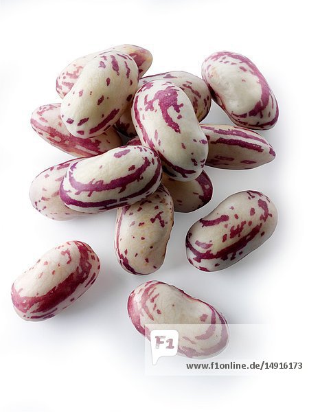 Fresh picked borlotti beans also known as the cranberry bean or Roman bean.